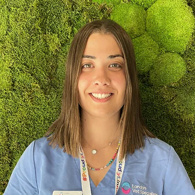 Dr Luisa Motos Alves