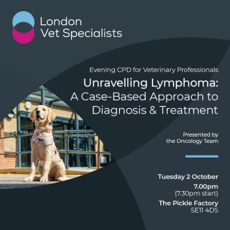 Unravelling Lymphoma: A Case-Based Approach to Diagnosis & Treatment