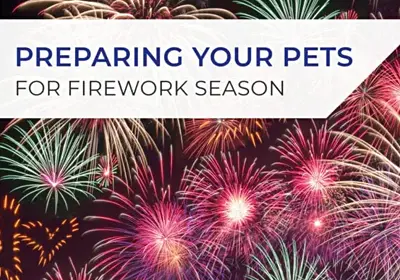 Preparing your pets for firework season