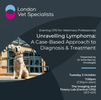 Unravelling Lymphoma: A Case-Based Approach to Diagnosis & Treatment