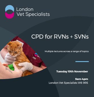 RVN Focus Multidisciplinary Day - November
