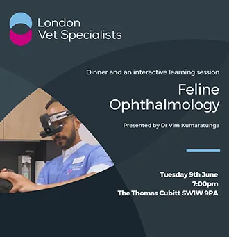 Feline Ophthalmology